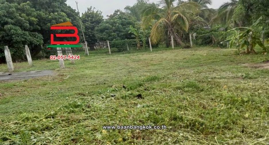 Terreno en venta en Phan, Chiang Rai