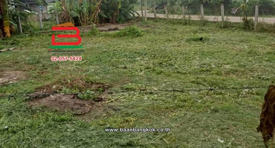 Terreno en venta en Phan, Chiang Rai