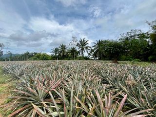 Terreno en venta en Mueang Krabi, Krabi