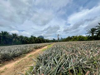 Terreno en venta en Mueang Krabi, Krabi