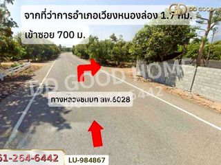 ขาย ที่ดิน ใน เวียงหนองล่อง, ลำพูน
