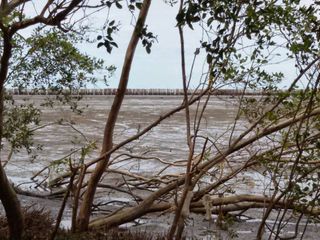 出售 土地 在 Mueang Samut Sakhon, Samut Sakhon