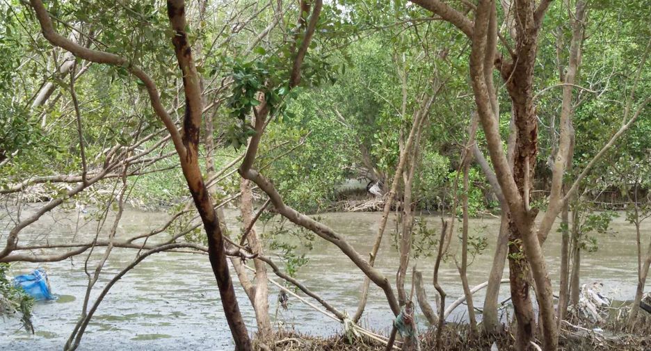 For sale land in Mueang Samut Sakhon, Samut Sakhon