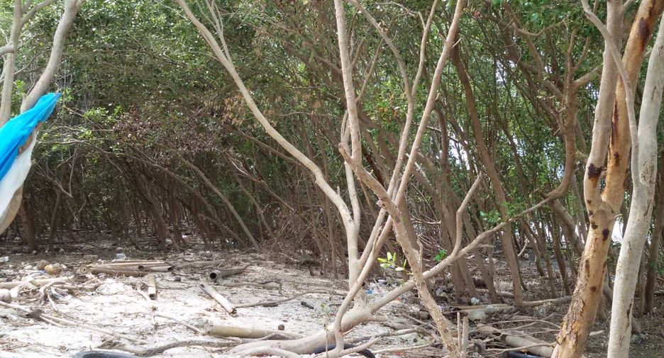 For sale land in Mueang Samut Sakhon, Samut Sakhon
