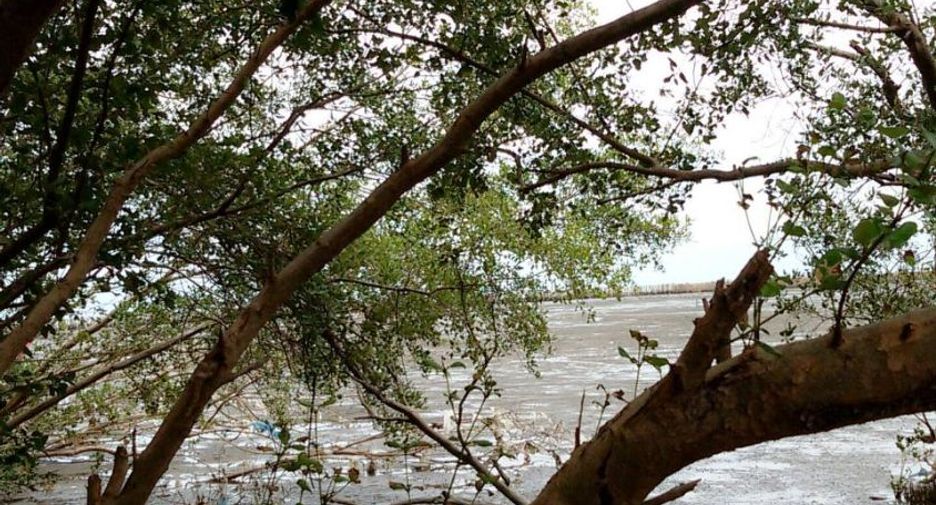 For sale land in Mueang Samut Sakhon, Samut Sakhon