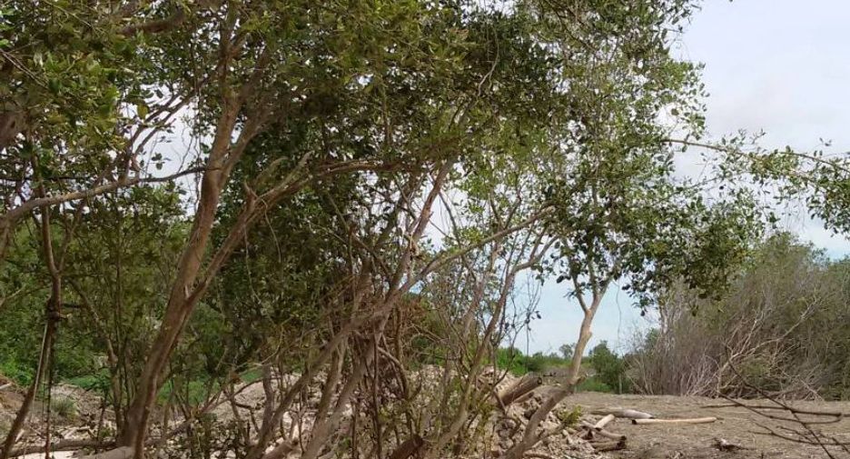For sale land in Mueang Samut Sakhon, Samut Sakhon
