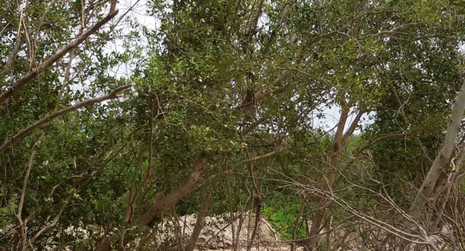 For sale land in Mueang Samut Sakhon, Samut Sakhon