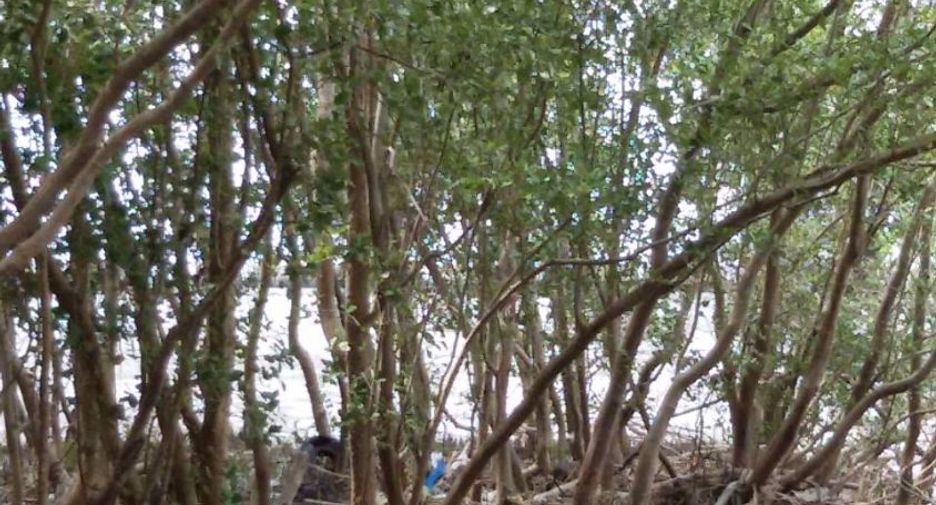 For sale land in Mueang Samut Sakhon, Samut Sakhon