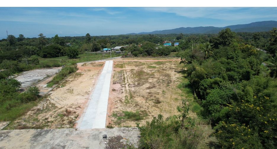 For sale land in San Sai, Chiang Mai