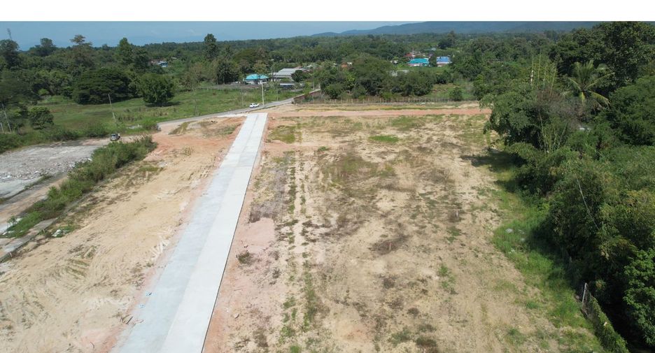 For sale land in San Sai, Chiang Mai