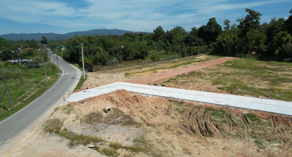 For sale land in San Sai, Chiang Mai