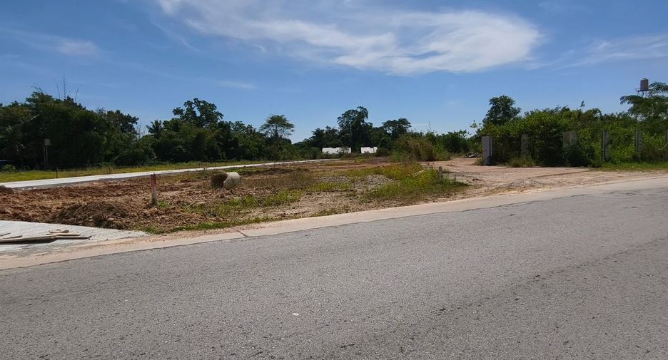 For sale land in San Sai, Chiang Mai