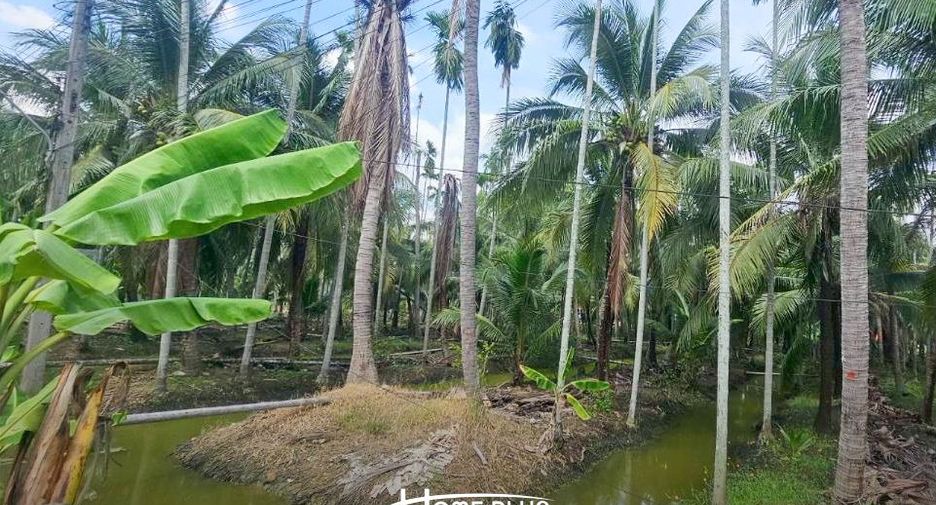 For sale land in Sam Phran, Nakhon Pathom