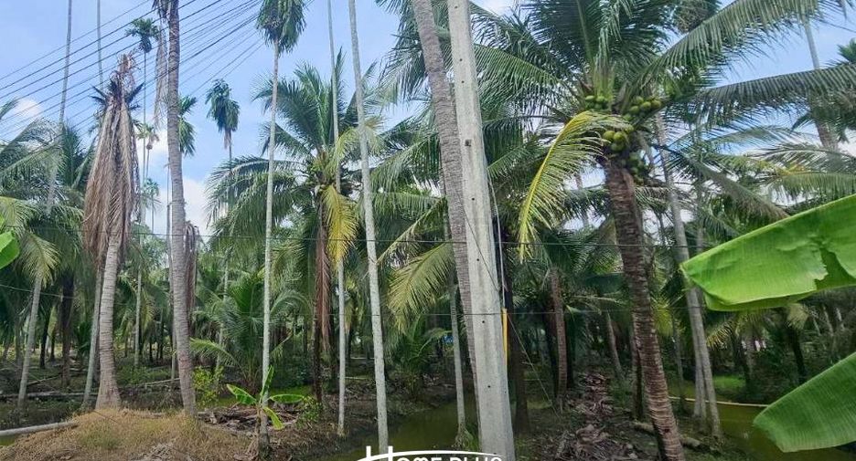 For sale land in Sam Phran, Nakhon Pathom