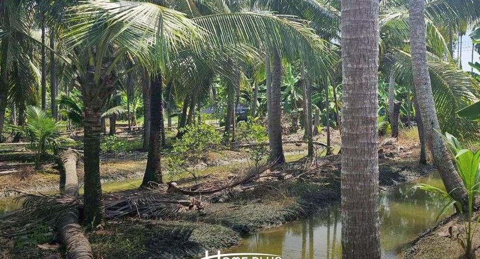 For sale land in Sam Phran, Nakhon Pathom