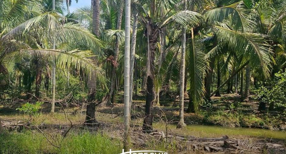 For sale land in Sam Phran, Nakhon Pathom
