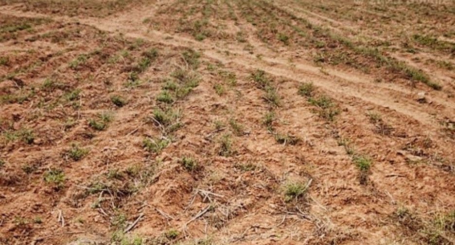 À vendre terrain à Mueang Nakhon Ratchasima, Nakhon Ratchasima