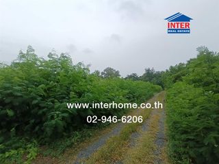 For sale land in Bang Khun Thian, Bangkok