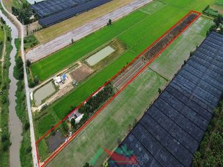 For sale land in Kamphaeng Saen, Nakhon Pathom
