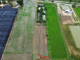 For sale land in Kamphaeng Saen, Nakhon Pathom