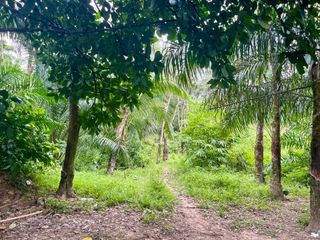 ขาย ที่ดิน ใน เมืองพังงา, พังงา
