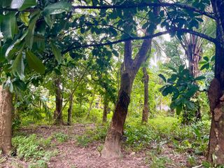 ขาย ที่ดิน ใน เมืองพังงา, พังงา