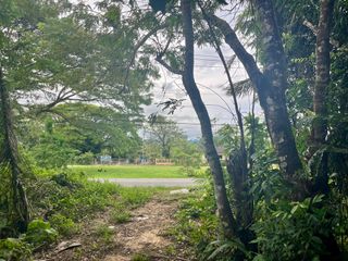 ขาย ที่ดิน ใน เมืองพังงา, พังงา
