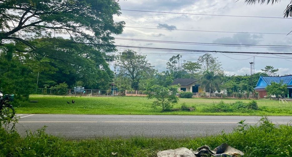 For sale land in Mueang Phangnga, Phang Nga