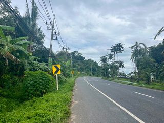 ขาย ที่ดิน ใน เมืองพังงา, พังงา