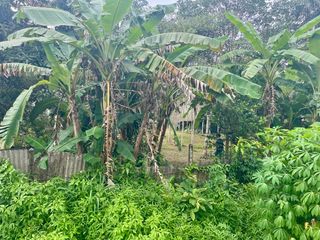 ขาย ที่ดิน ใน เมืองพังงา, พังงา