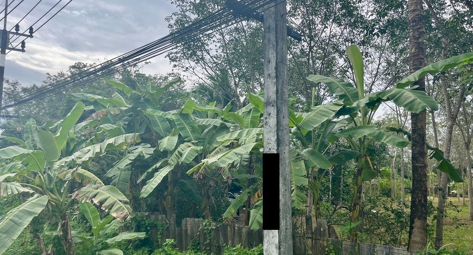For sale land in Mueang Phangnga, Phang Nga