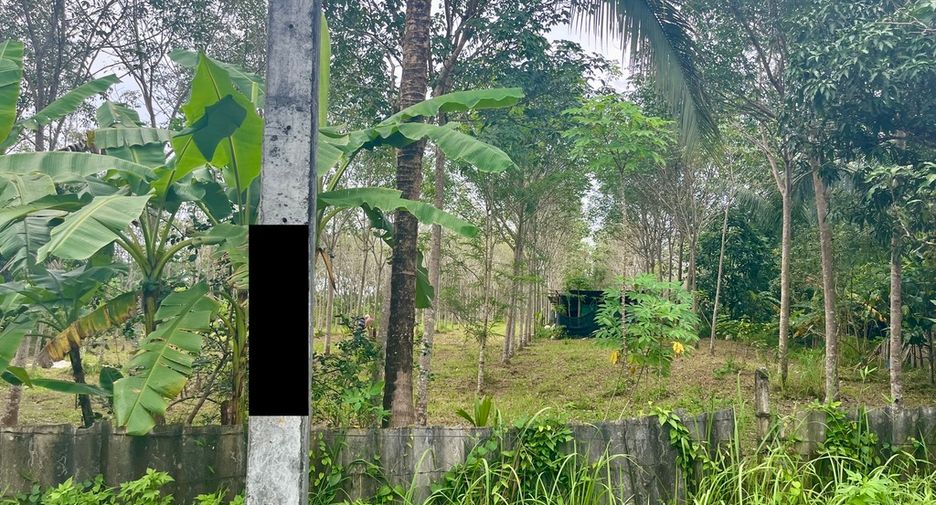 For sale land in Mueang Phangnga, Phang Nga