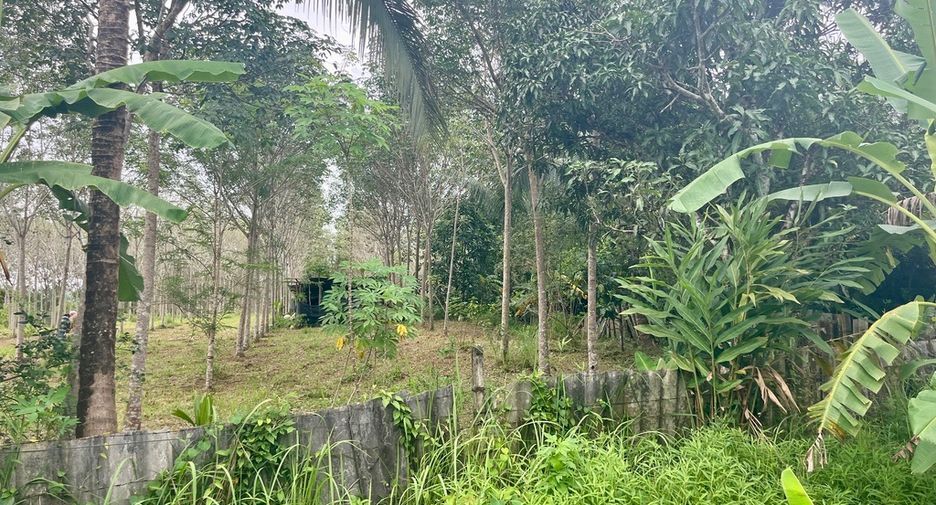 For sale land in Mueang Phangnga, Phang Nga