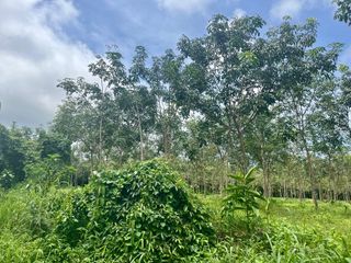 ขาย ที่ดิน ใน ตะกั่วทุ่ง, พังงา
