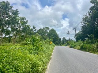 ขาย ที่ดิน ใน ตะกั่วทุ่ง, พังงา