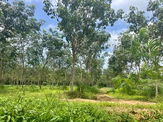 ขาย ที่ดิน ใน ตะกั่วทุ่ง, พังงา