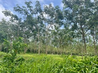 ขาย ที่ดิน ใน ตะกั่วทุ่ง, พังงา