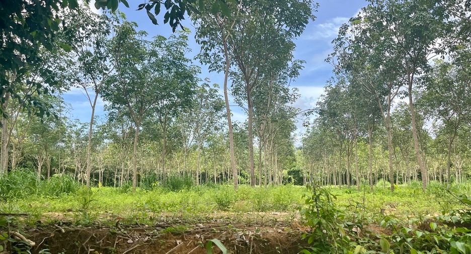 ขาย ที่ดิน ใน ตะกั่วทุ่ง, พังงา