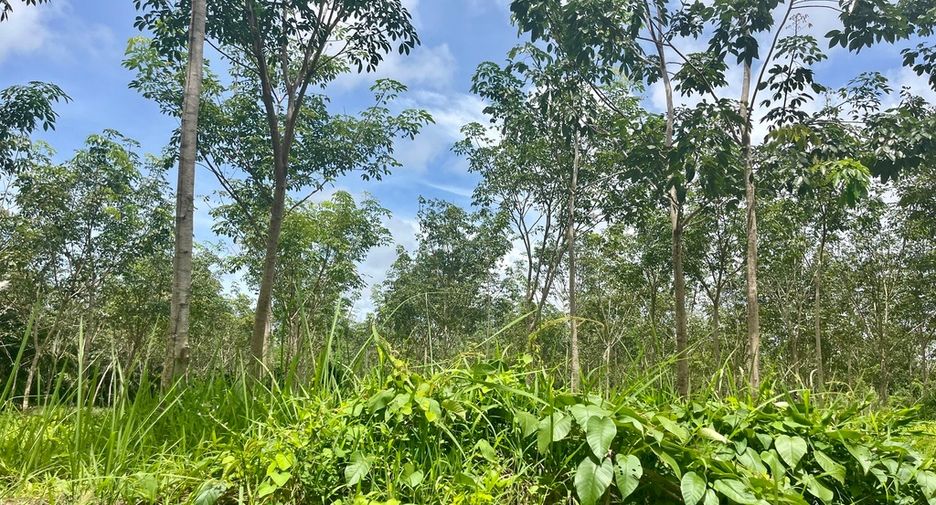 ขาย ที่ดิน ใน ตะกั่วทุ่ง, พังงา