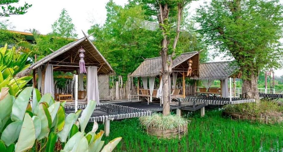 Hotel en alquiler y en venta de 9 habitaciones en San Pa Tong, Chiang Mai