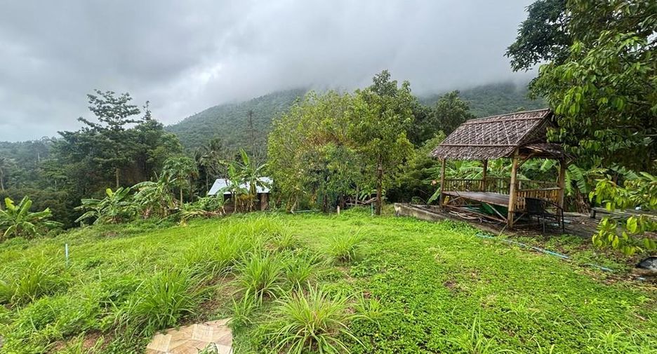 For sale land in Ko Samui, Surat Thani
