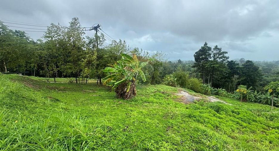 For sale land in Ko Samui, Surat Thani