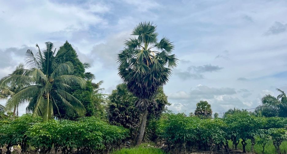 For sale land in Takua Thung, Phang Nga