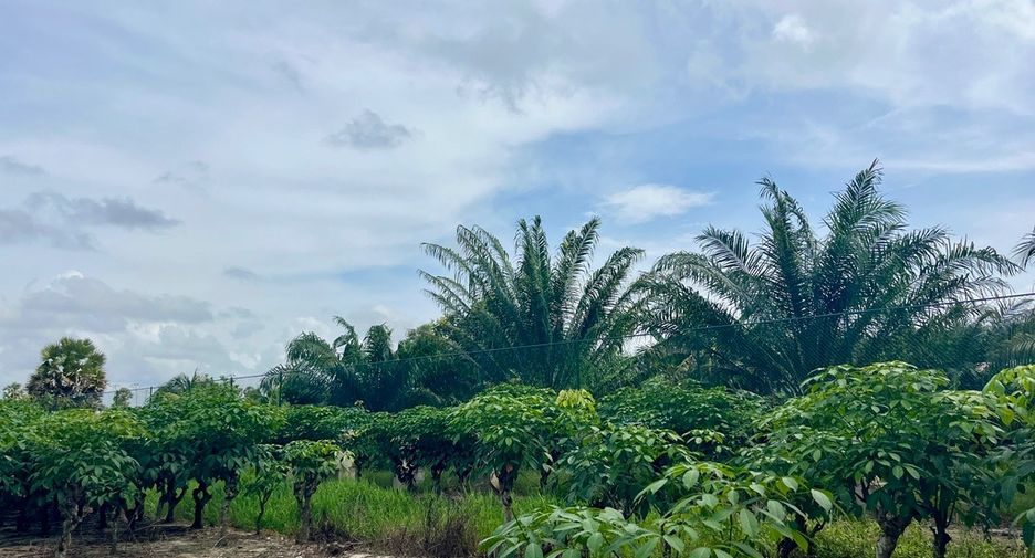 For sale land in Takua Thung, Phang Nga