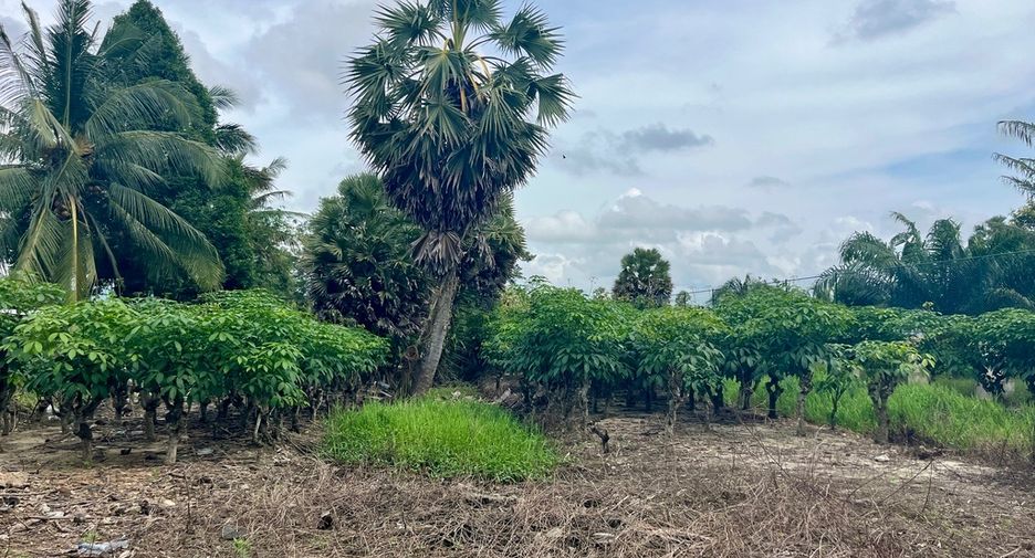 For sale land in Takua Thung, Phang Nga