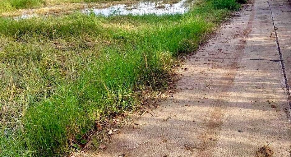 For sale land in Phimai, Nakhon Ratchasima