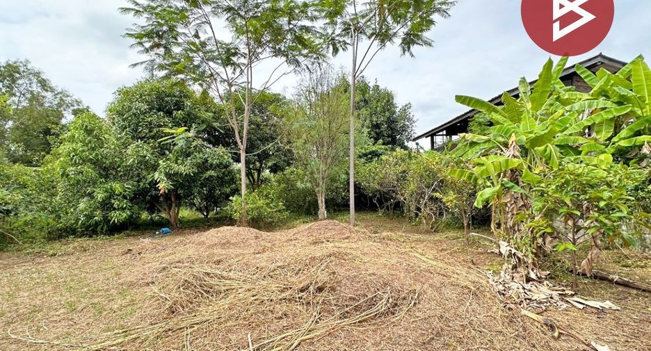 For sale 3 bedrooms house in Wang Thong, Phitsanulok