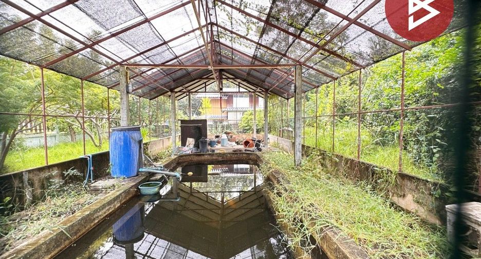 For sale 3 bedrooms house in Wang Thong, Phitsanulok