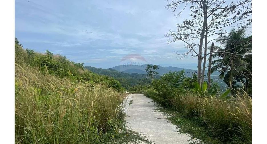 ขาย ที่ดิน ใน เกาะสมุย, สุราษฎร์ธานี
