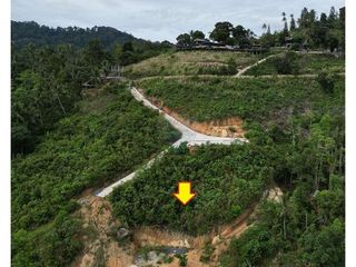 For sale land in Ko Samui, Surat Thani
